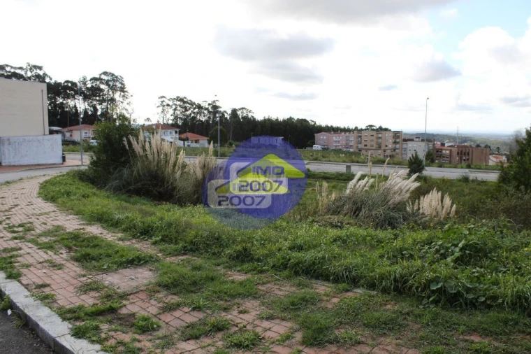 Terreno para Venda em São João de Ver Foto 9