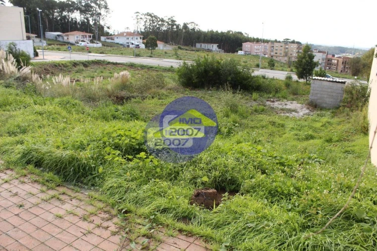 Terreno para Venda em São João de Ver Foto 13