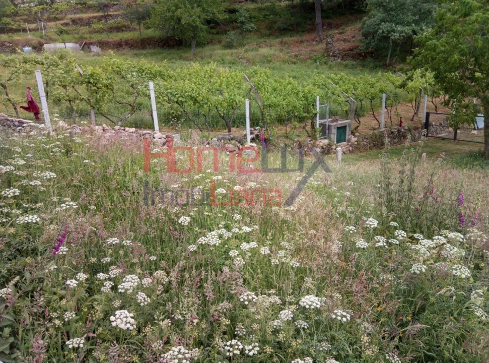 Terreno para Venda em São Cipriano Foto 6