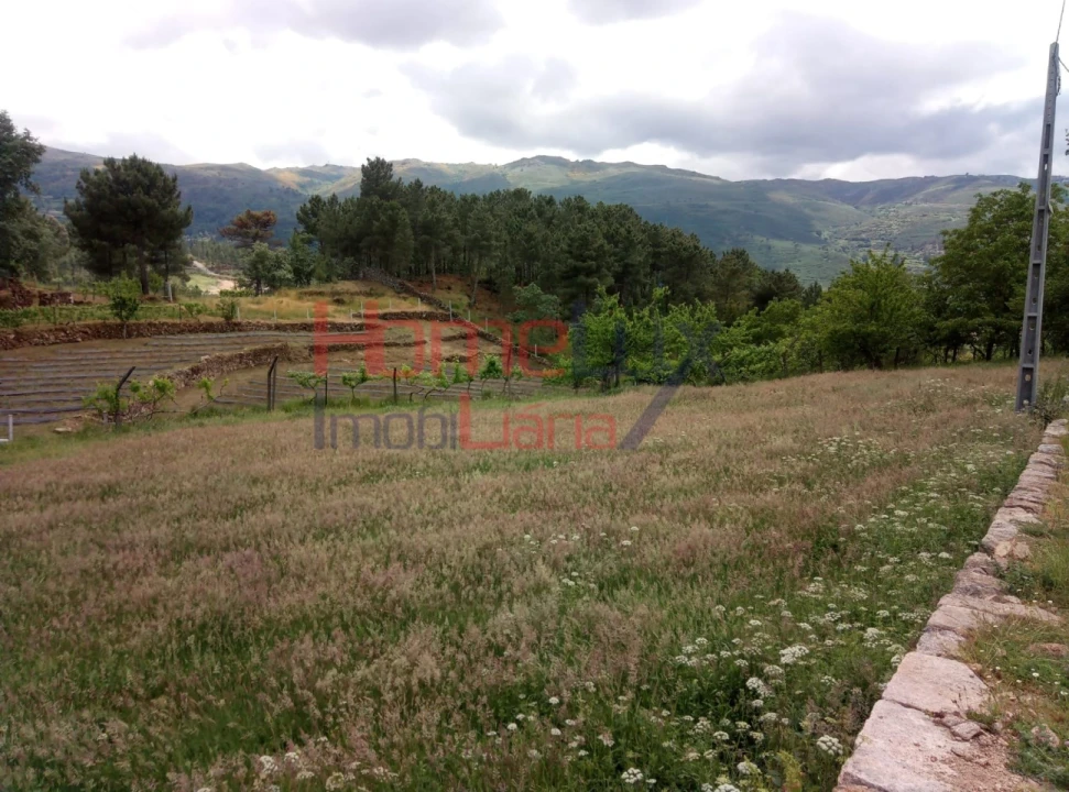 Terreno para Venda em São Cipriano Foto 9