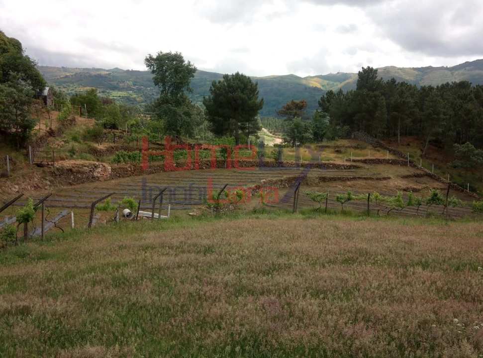 Terreno para Venda em São Cipriano Foto 12