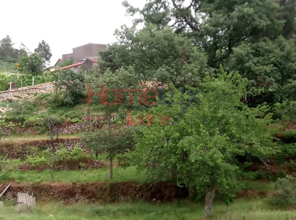 Terreno para Venda em São Cipriano Foto 18