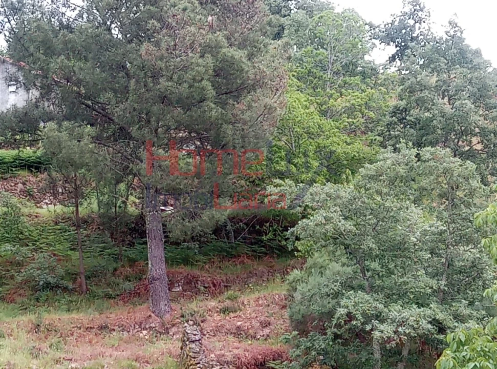 Terreno para Venda em São Cipriano Foto 21