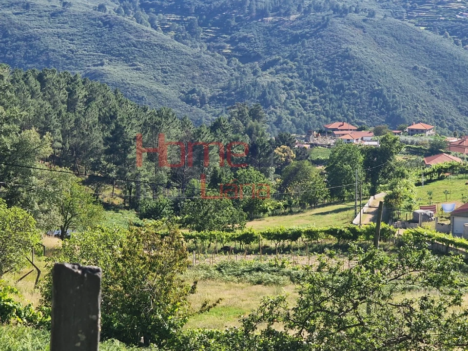 Terreno para Venda em São Cipriano Foto 5