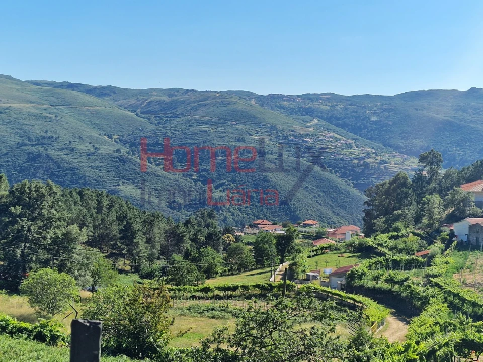 Terreno para Venda em São Cipriano Foto 23