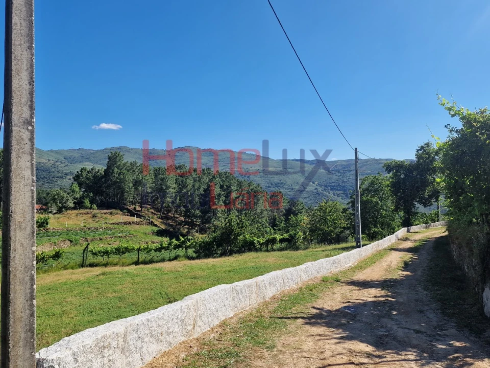 Terreno para Venda em São Cipriano Foto 24