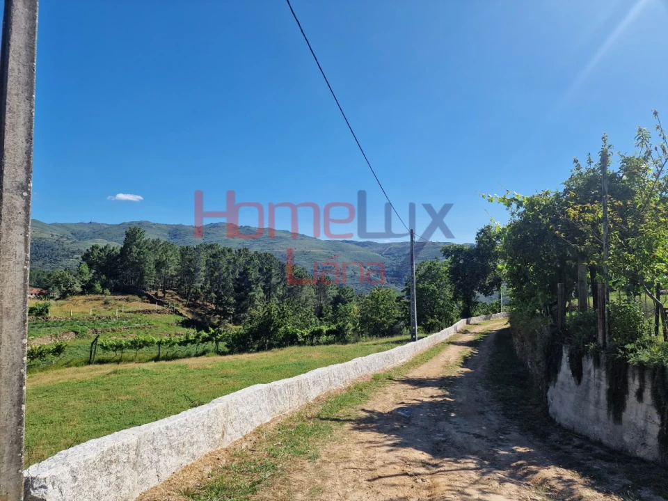 Terreno para Venda em São Cipriano Foto 26