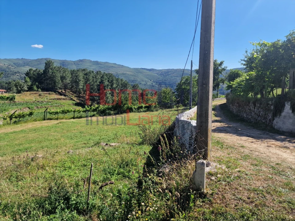 Terreno para Venda em São Cipriano Foto 27