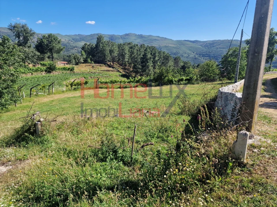 Terreno para Venda em São Cipriano Foto 28