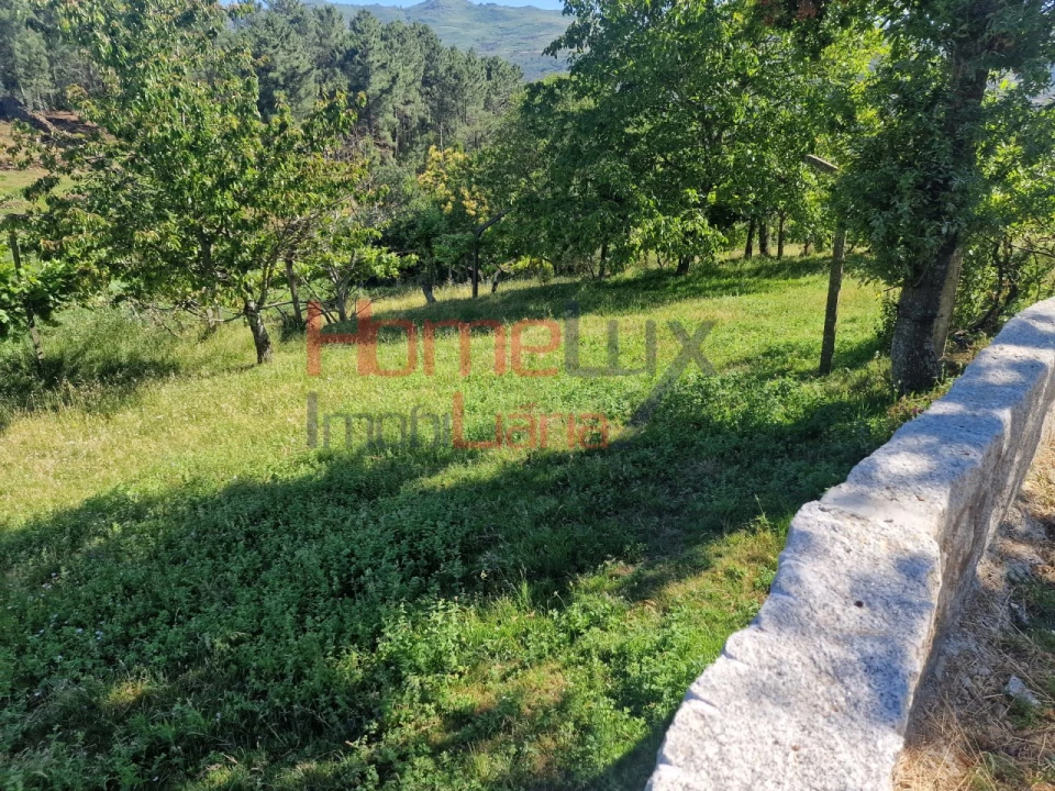 Terreno para Venda em São Cipriano Foto 29