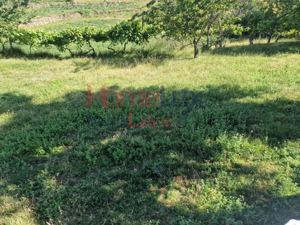 Terreno para Venda em São Cipriano Foto 30
