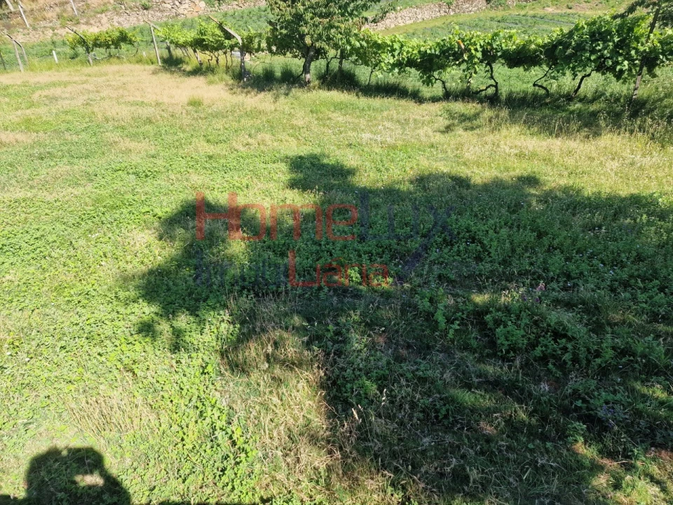 Terreno para Venda em São Cipriano Foto 31