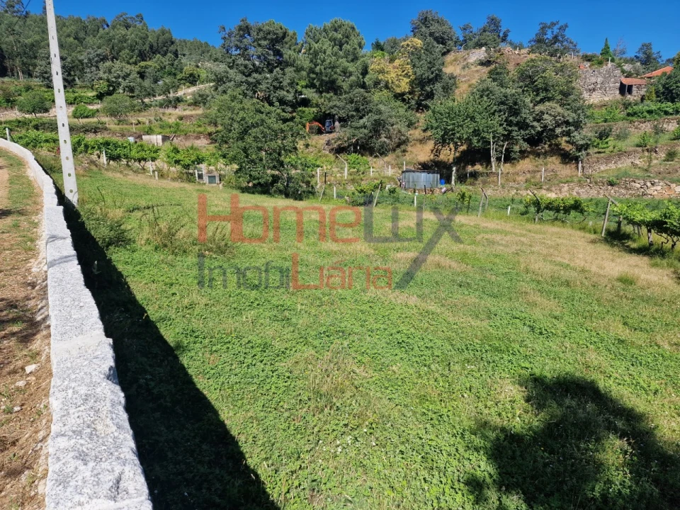 Terreno para Venda em São Cipriano Foto 32