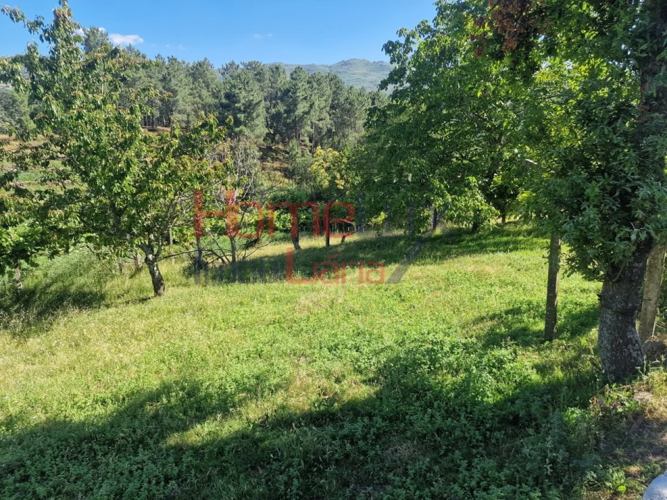 Terreno para Venda em São Cipriano Foto 36
