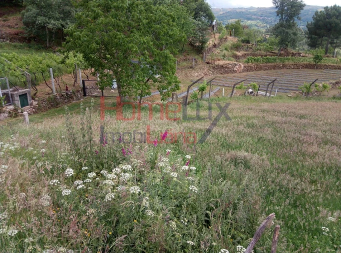 Terreno para Venda em São Cipriano Foto 7