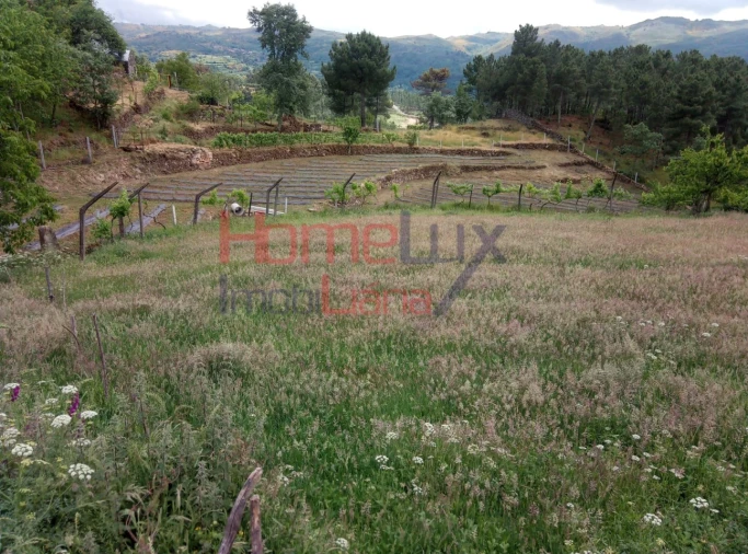 Terreno para Venda em São Cipriano Foto 8