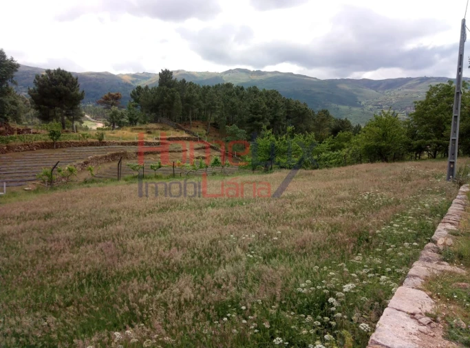 Terreno para Venda em São Cipriano Foto 9