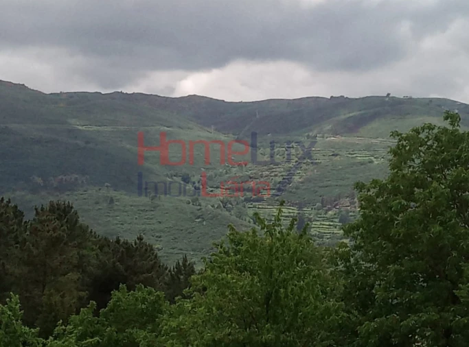 Terreno para Venda em São Cipriano Foto 10
