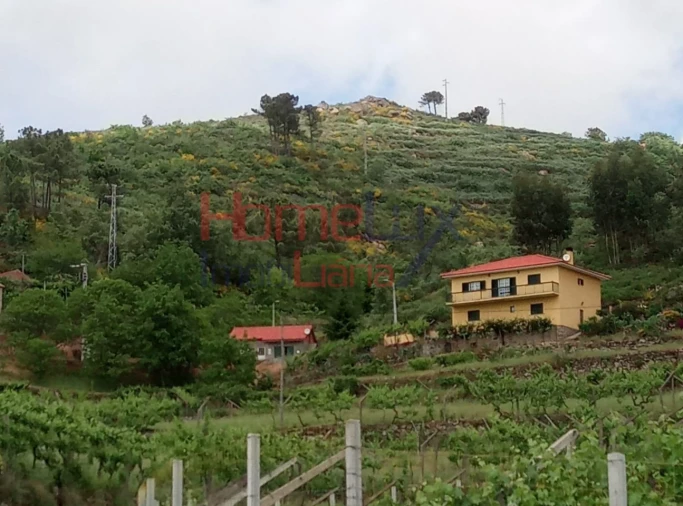 Terreno para Venda em São Cipriano Foto 13