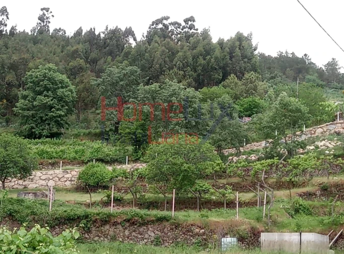 Terreno para Venda em São Cipriano Foto 16