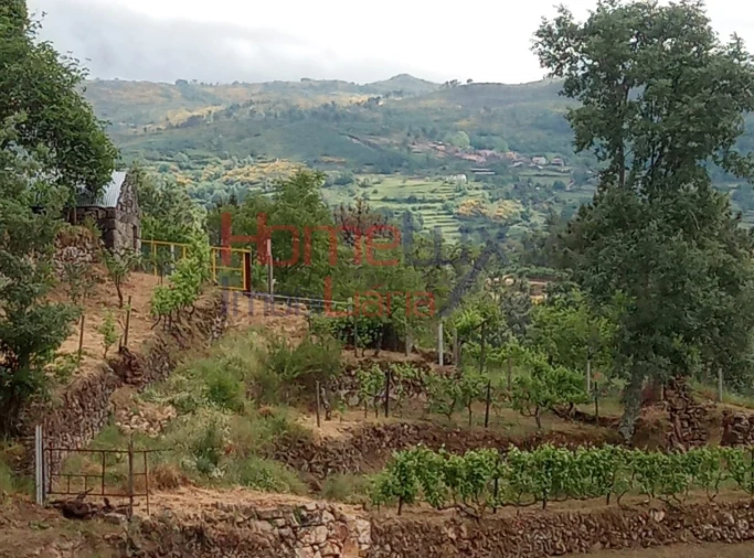 Terreno para Venda em São Cipriano Foto 17