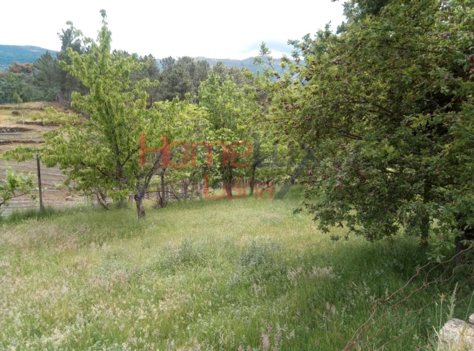 Terreno para Venda em São Cipriano Foto 19