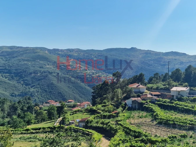 Terreno para Venda em São Cipriano Foto 3