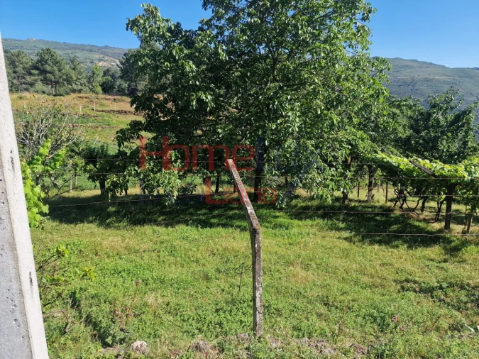 Terreno para Venda em São Cipriano Foto 4