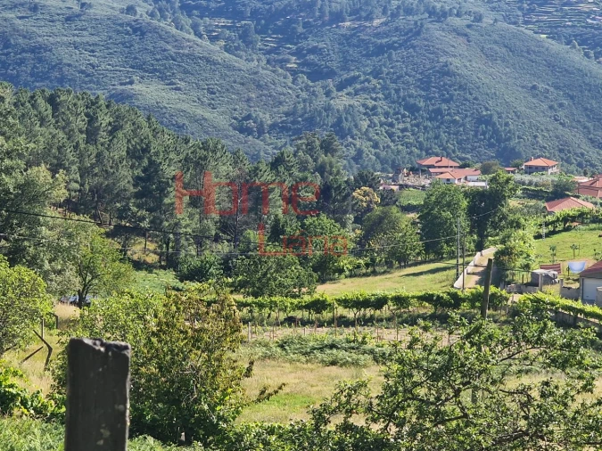 Terreno para Venda em São Cipriano Foto 5