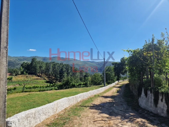 Terreno para Venda em São Cipriano Foto 26