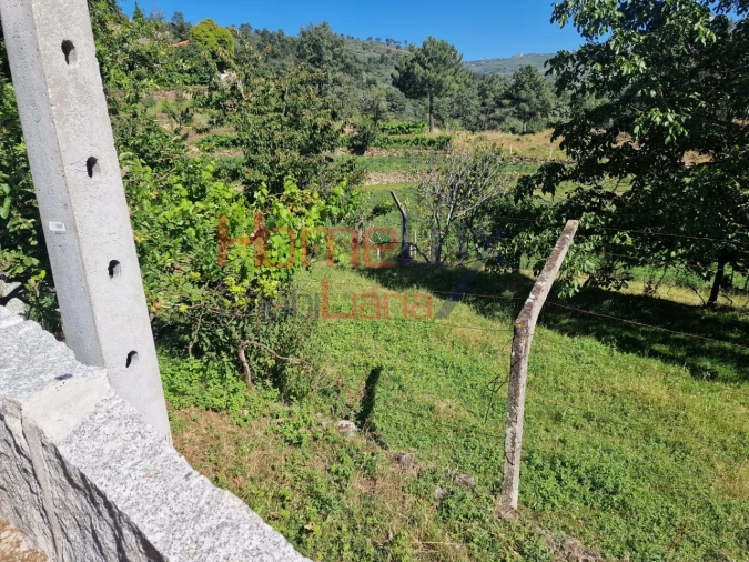 Terreno para Venda em São Cipriano Foto 35