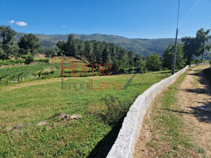 Terreno para Venda em São Cipriano Foto 37