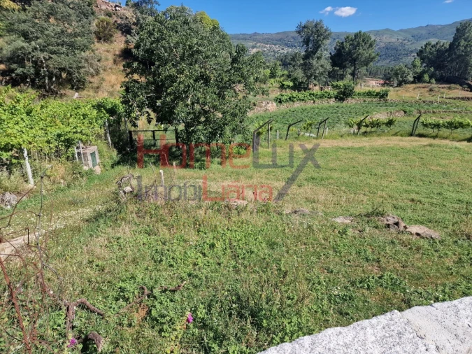 Terreno para Venda em São Cipriano Foto 38