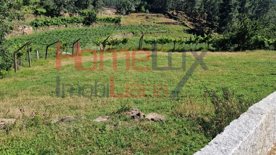 Terreno para Venda em São Cipriano