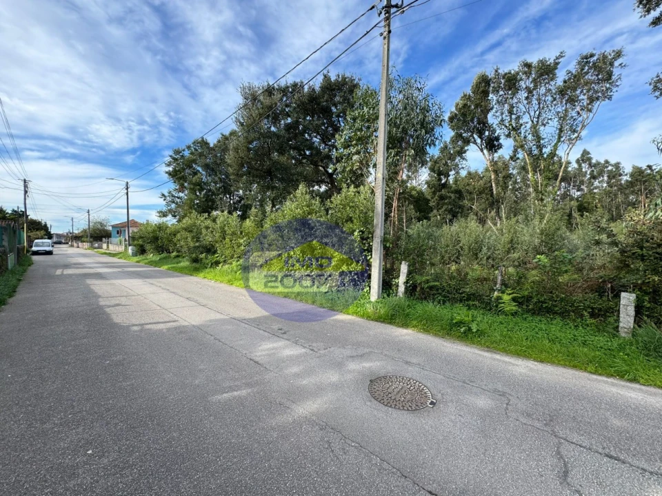 Terreno para Venda em Nogueira da Regedoura Foto 3