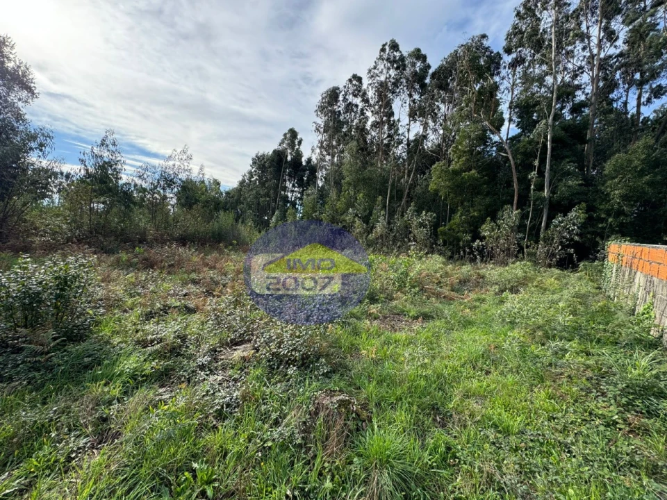 Terreno para Venda em Nogueira da Regedoura Foto 7