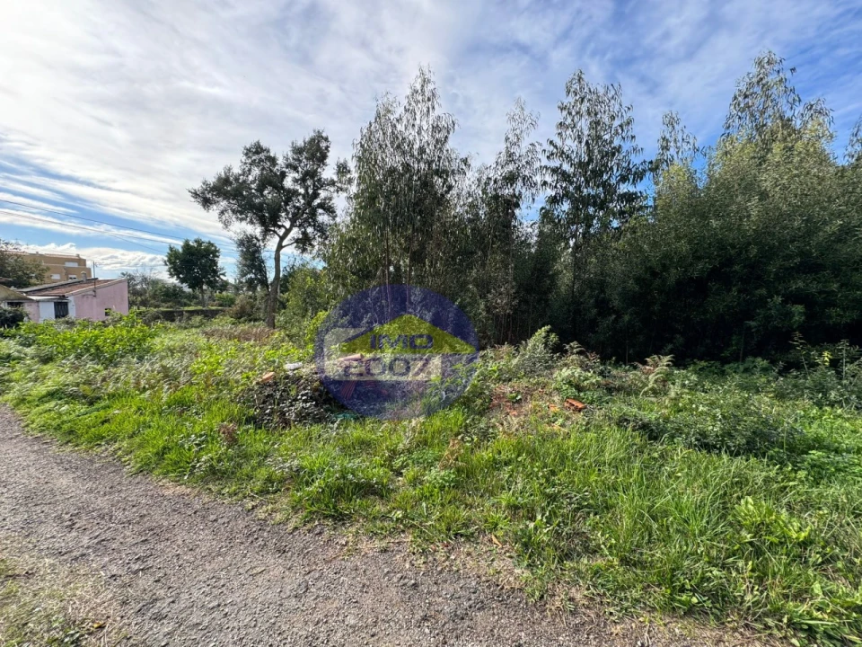 Terreno para Venda em Nogueira da Regedoura Foto 12