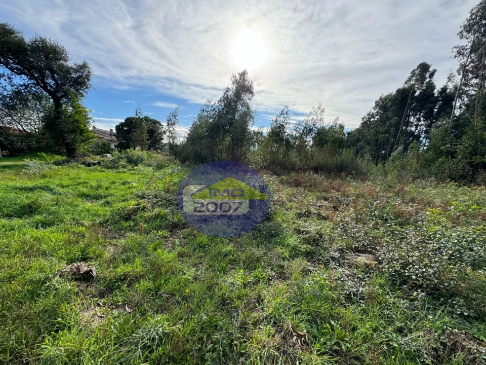 Terreno para Venda em Nogueira da Regedoura Foto 13