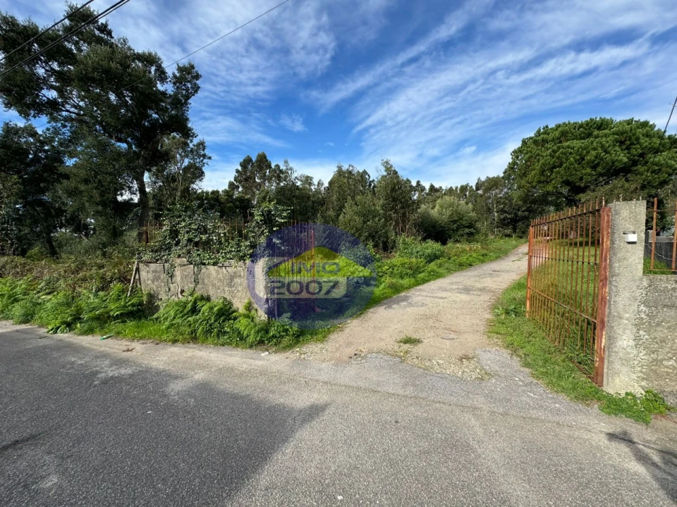 Terreno para Venda em Nogueira da Regedoura Foto 15