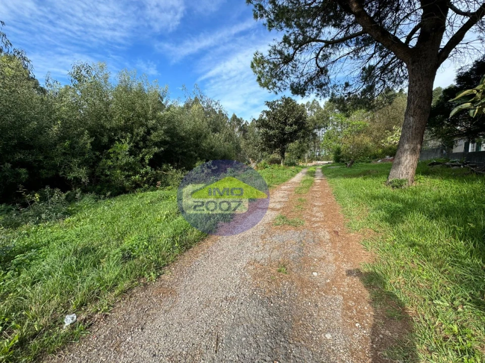 Terreno para Venda em Nogueira da Regedoura Foto 16