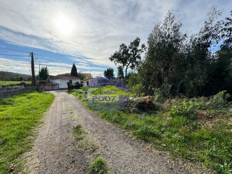 Terreno para Venda em Nogueira da Regedoura Foto 20