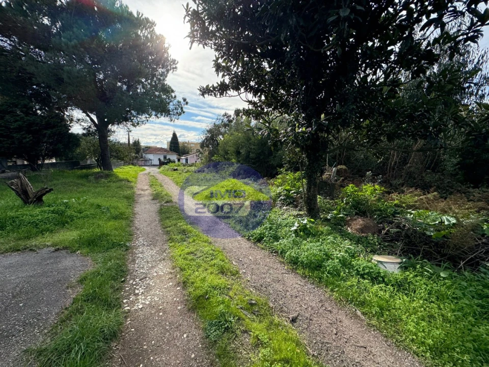 Terreno para Venda em Nogueira da Regedoura Foto 21
