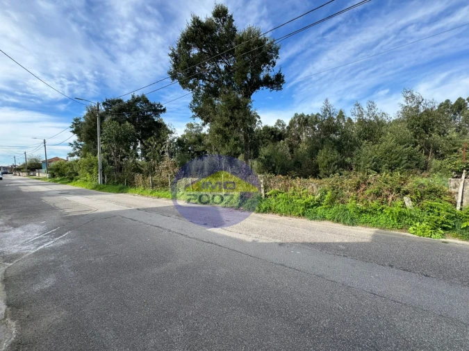 Terreno para Venda em Nogueira da Regedoura Foto 2