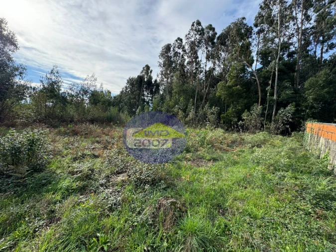 Terreno para Venda em Nogueira da Regedoura Foto 7