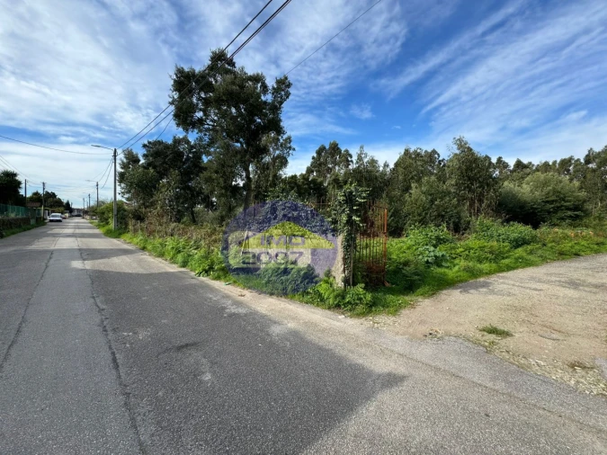 Terreno para Venda em Nogueira da Regedoura Foto 8