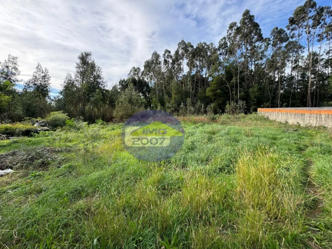 Terreno para Venda em Nogueira da Regedoura Foto 10