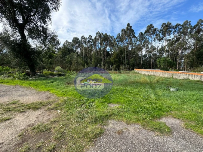 Terreno para Venda em Nogueira da Regedoura Foto 14