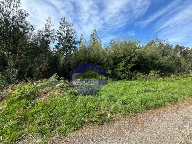 Terreno para Venda em Nogueira da Regedoura Foto 17