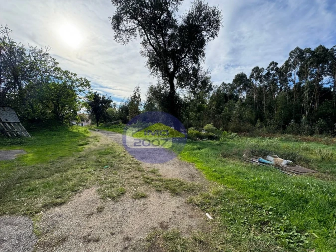 Terreno para Venda em Nogueira da Regedoura Foto 18