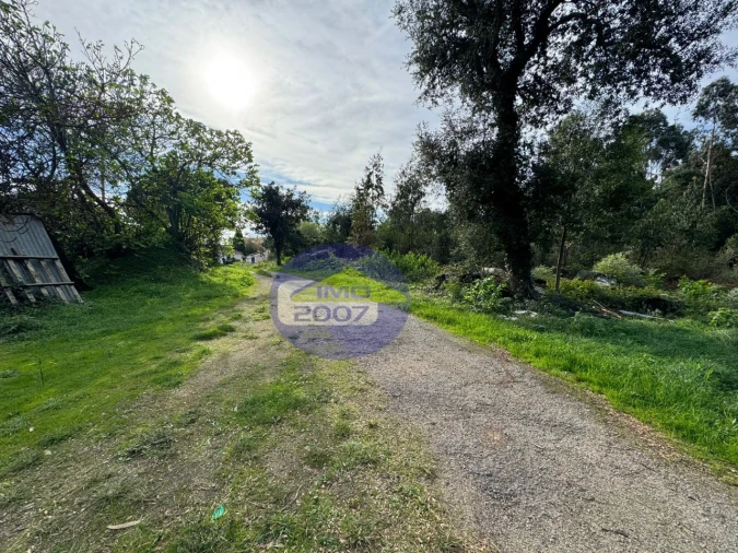 Terreno para Venda em Nogueira da Regedoura Foto 19